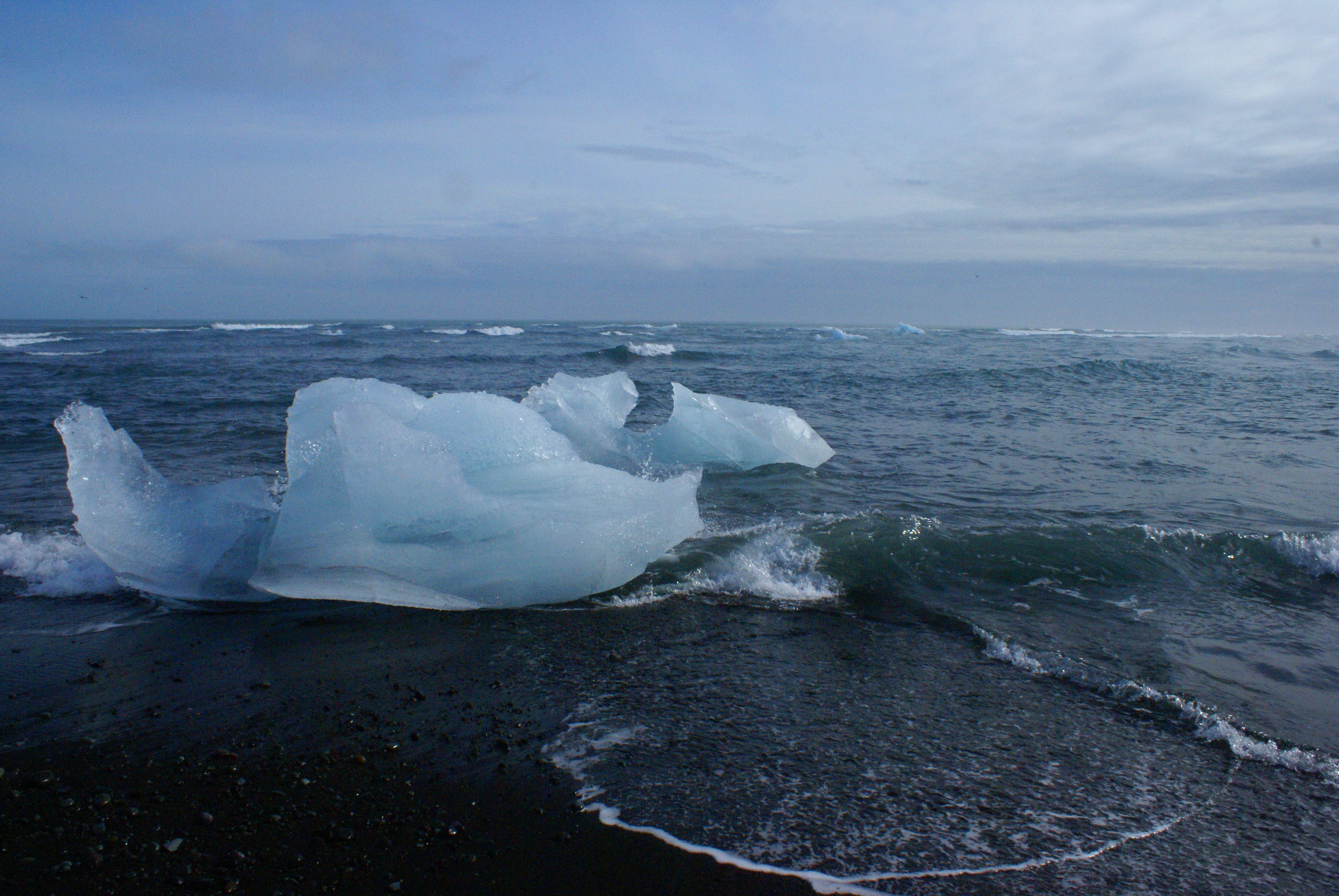 Rejs etapowy na Islandię. Rejsy stażowe na pływach.